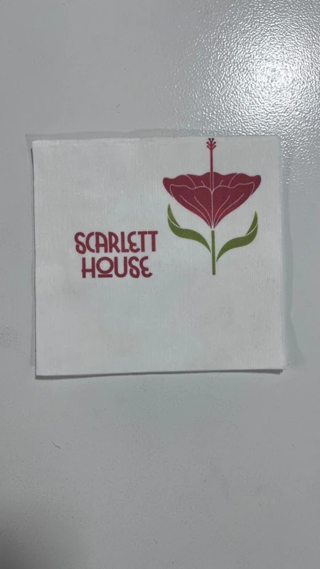 Airlaid Napkin 9×9" — 1 of 2